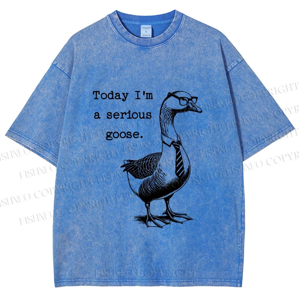 Unisex Serious Goose Printed Washed Tee