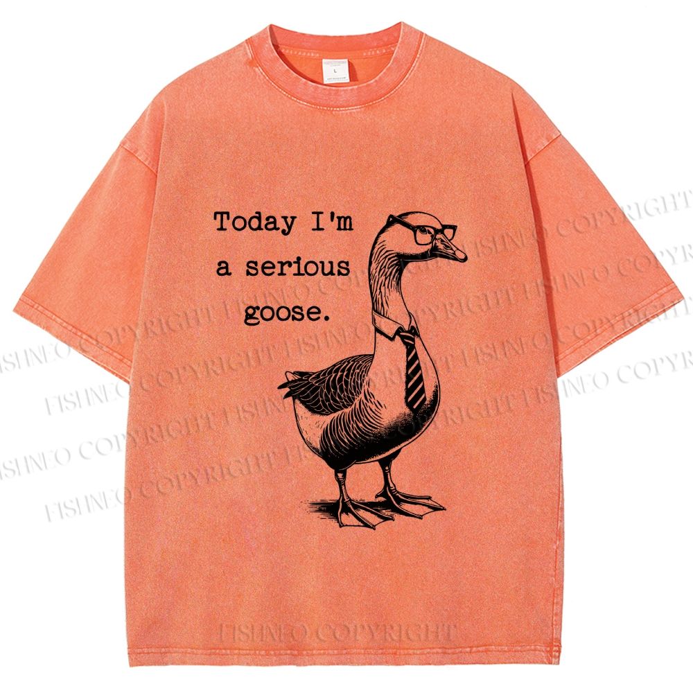 Unisex Serious Goose Printed Washed Tee