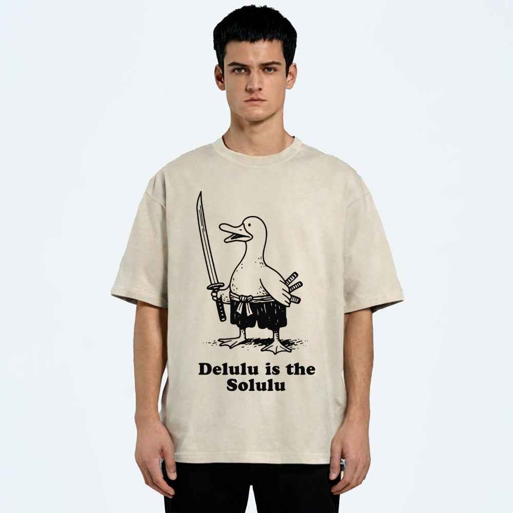 Delulu Is The Solulu Funny Goose Vintage Washed T-shirt