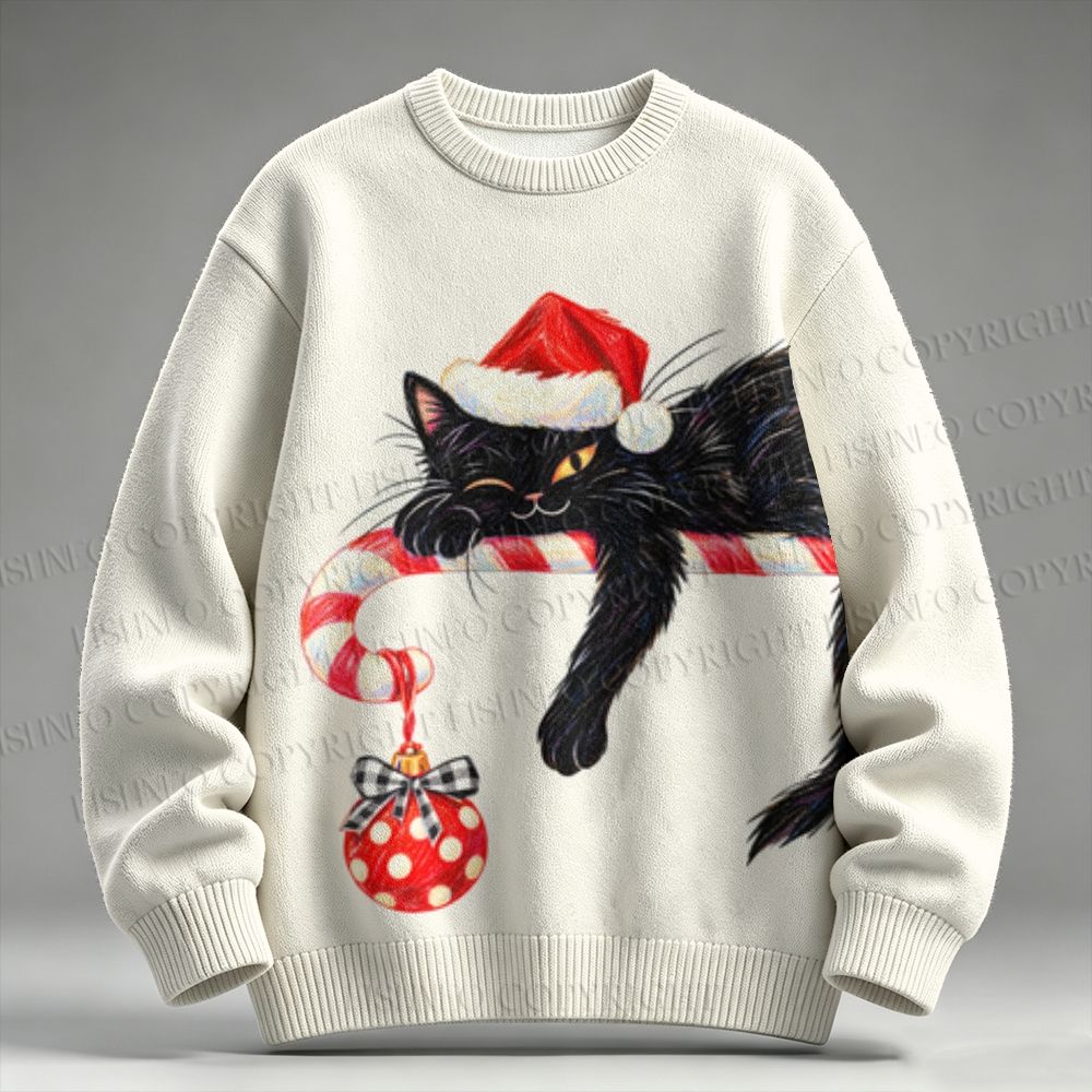 Black Cat in Christmas Raglan Sweater