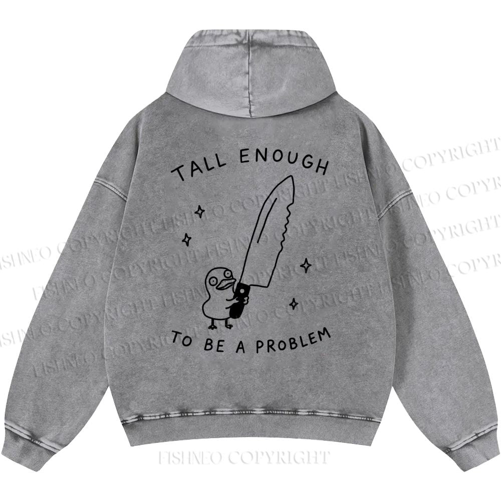 Unisex Silly Goose Tall Enough to be a Problem Casual Printed Double-sided Washed Hoodie