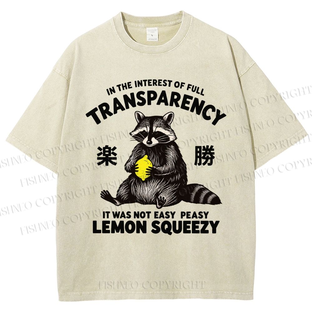Raccoon Holding A Lemon Vintage Washed T-shirt