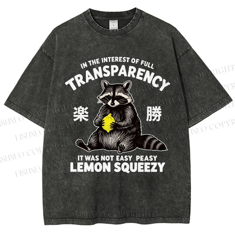 Raccoon Holding A Lemon Vintage Washed T-shirt