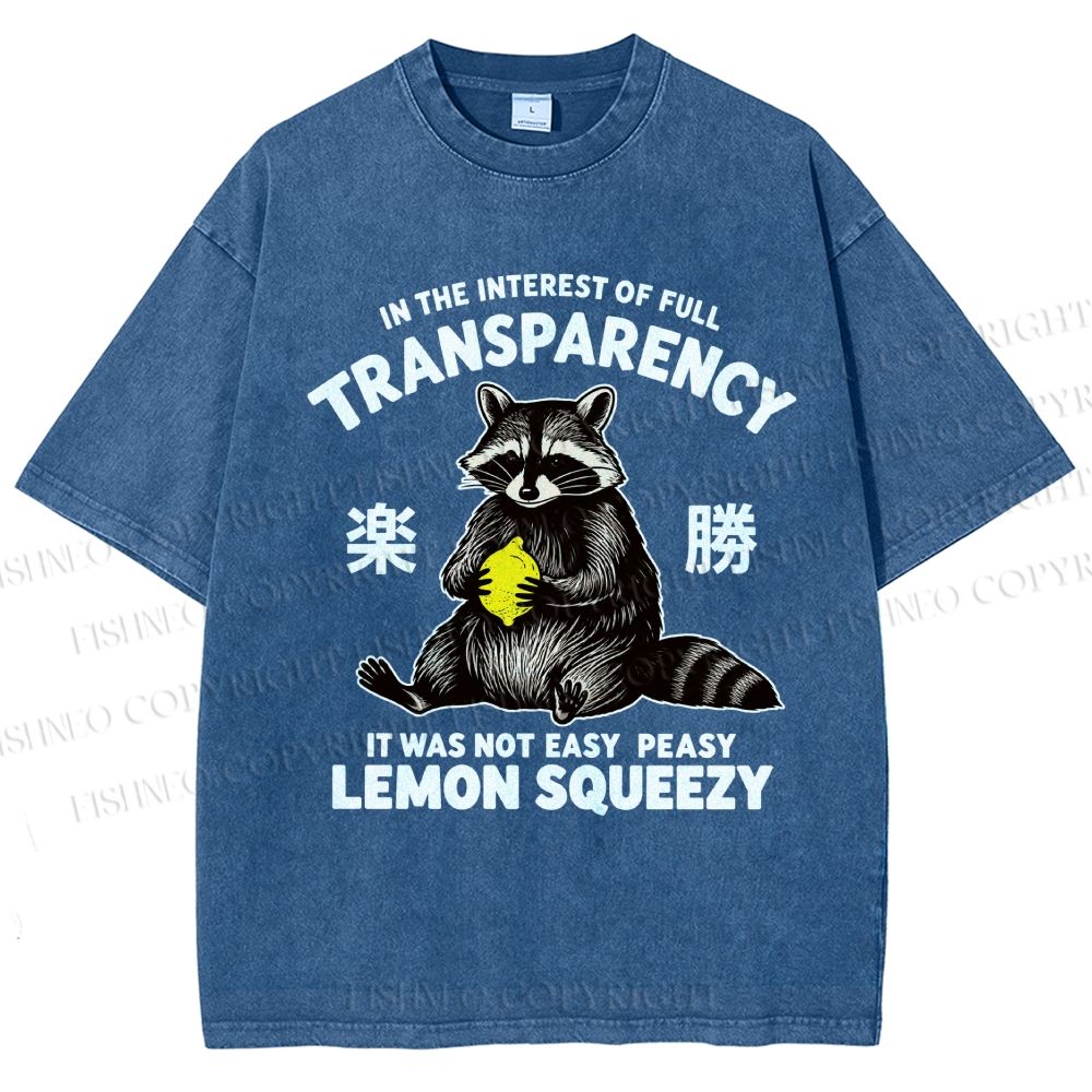 Raccoon Holding A Lemon Vintage Washed T-shirt