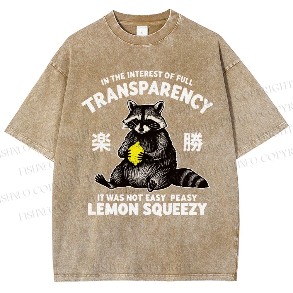 Raccoon Holding A Lemon Vintage Washed T-shirt