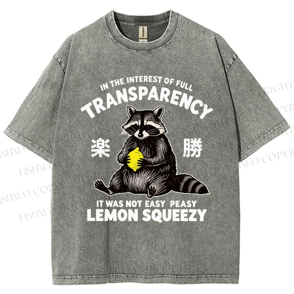 Raccoon Holding A Lemon Vintage Washed T-shirt