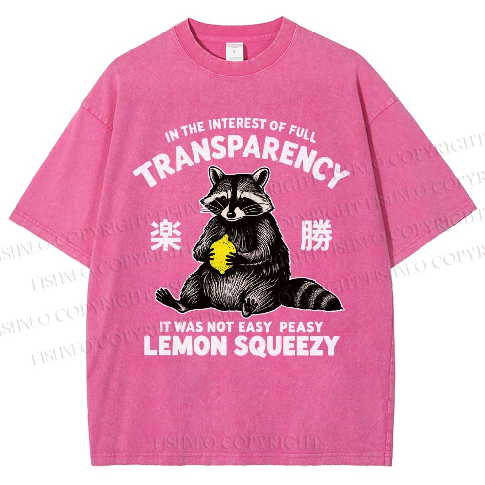 Raccoon Holding A Lemon Vintage Washed T-shirt