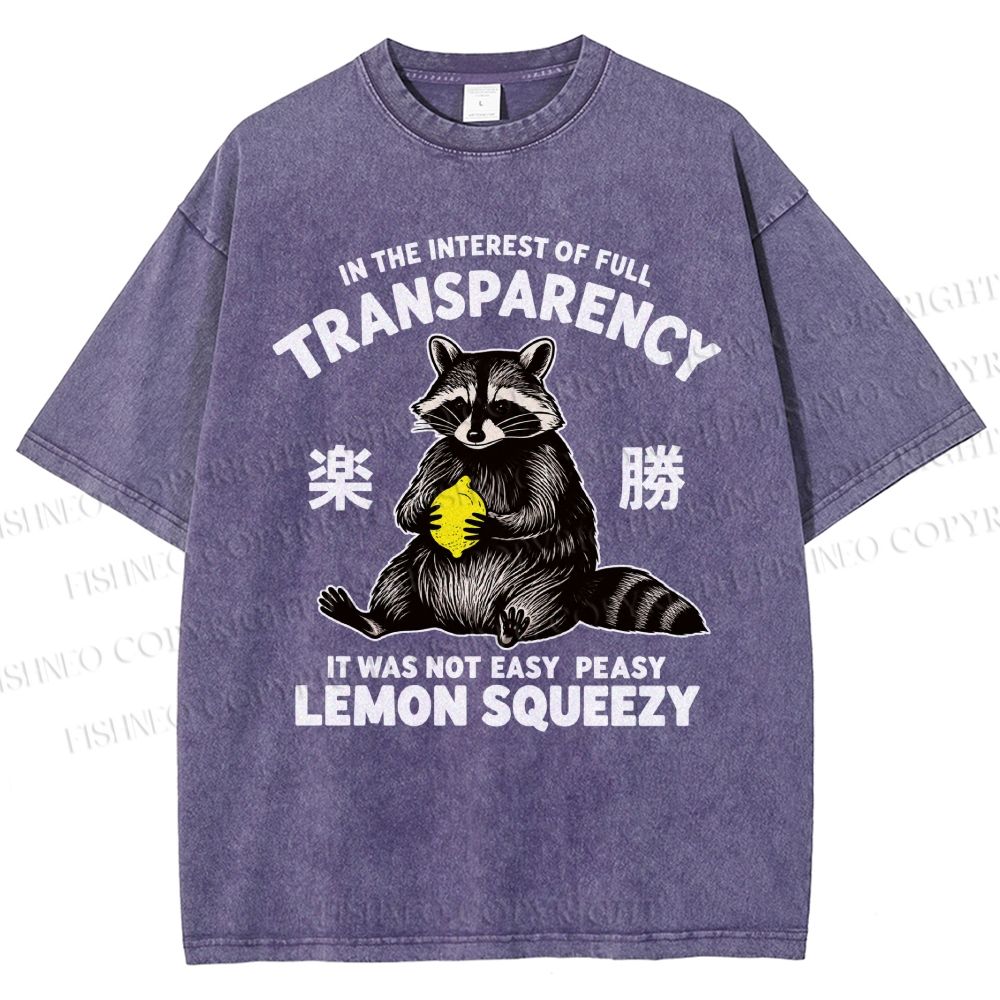 Raccoon Holding A Lemon Vintage Washed T-shirt