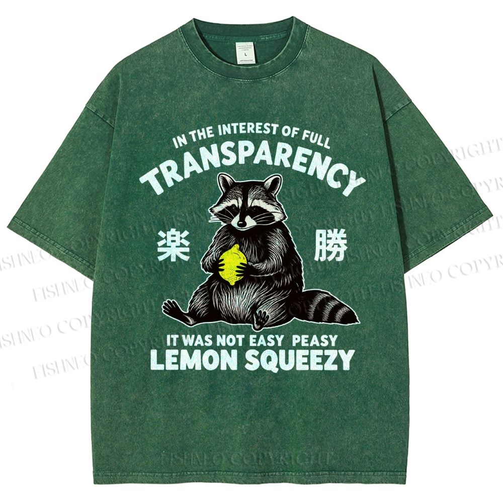 Raccoon Holding A Lemon Vintage Washed T-shirt