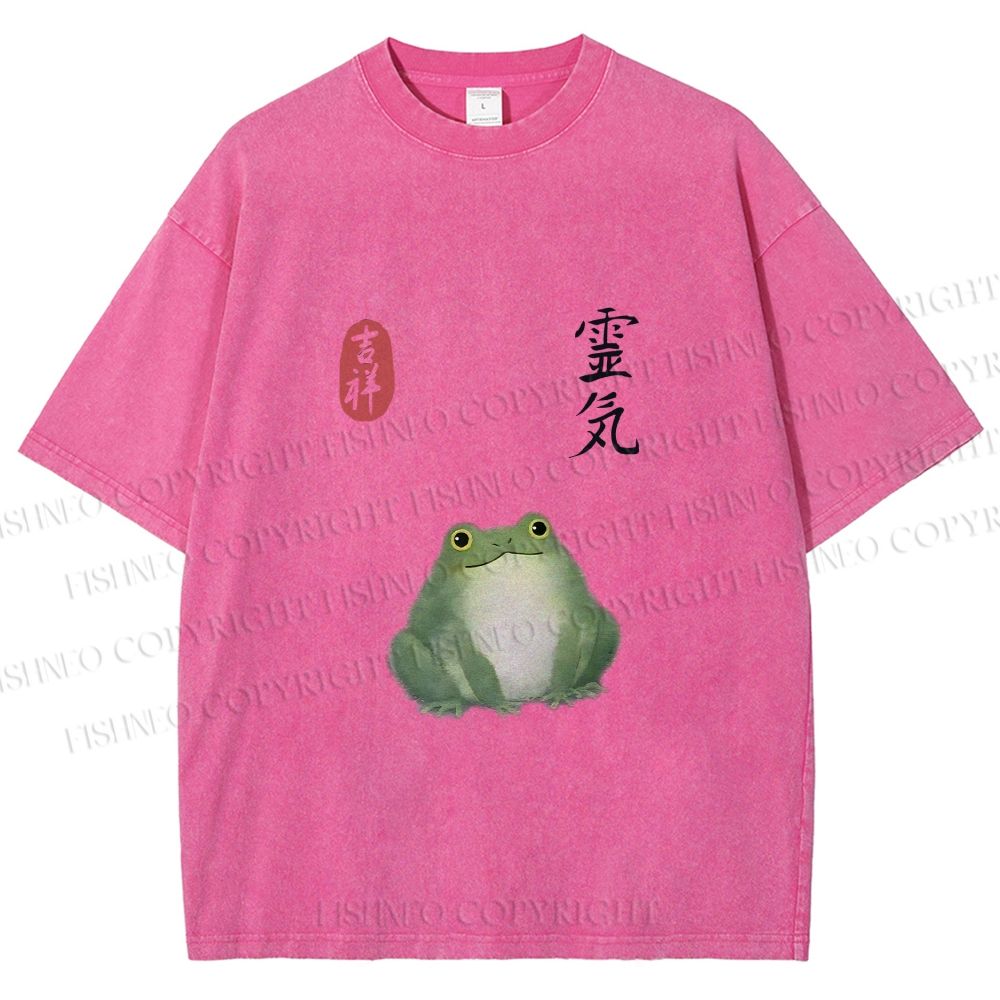 Unisex Energetic Frog Printed Washed Tee
