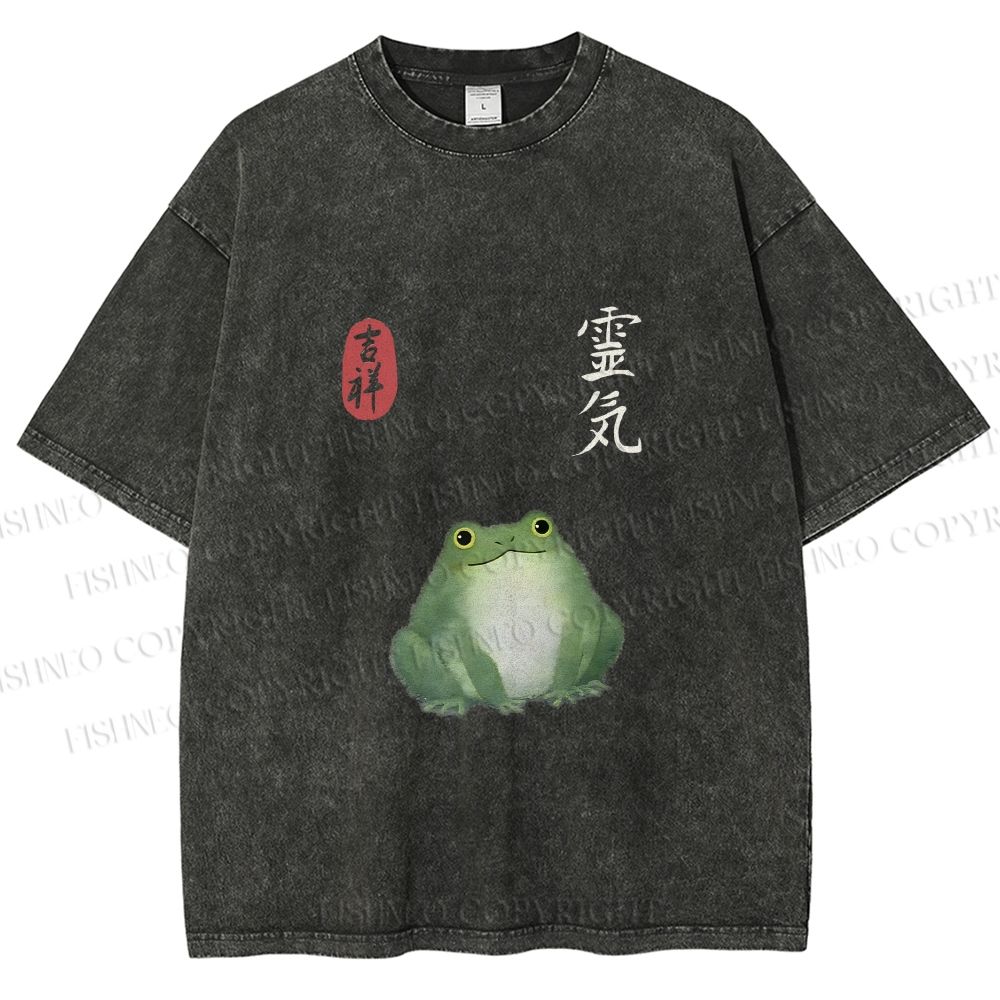 Unisex Energetic Frog Printed Washed Tee