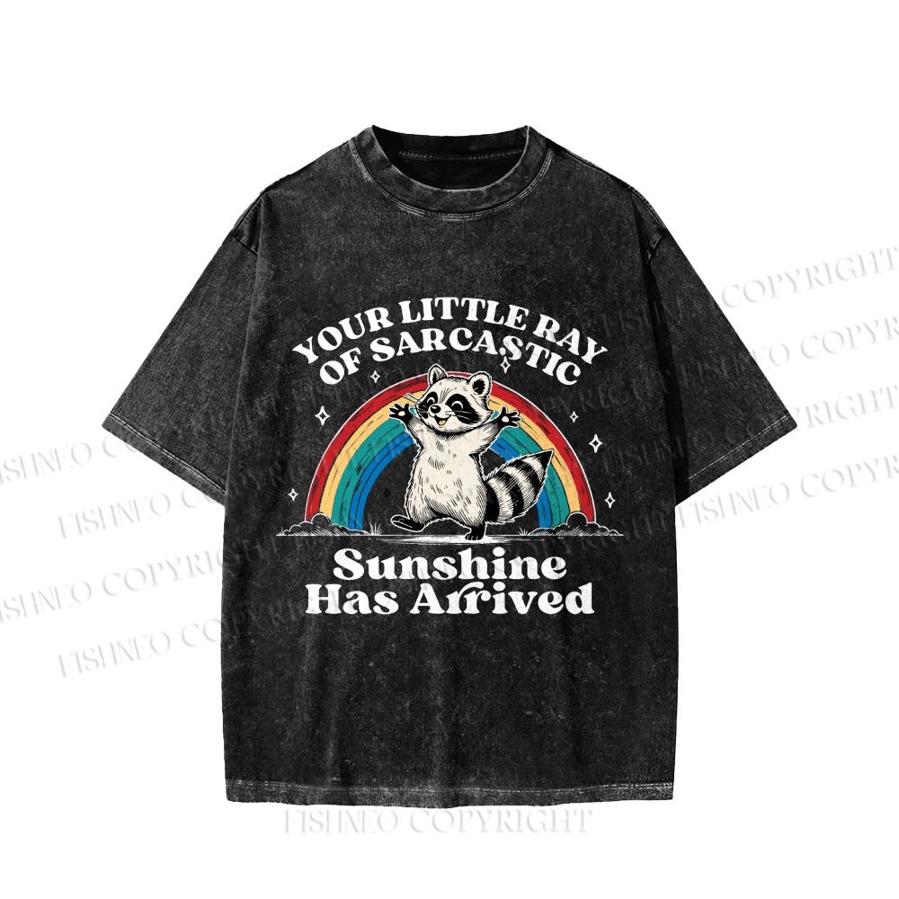 Your Little Ray of Sarcastic Sunshine Has Arrived Vintage Washed T-shirt