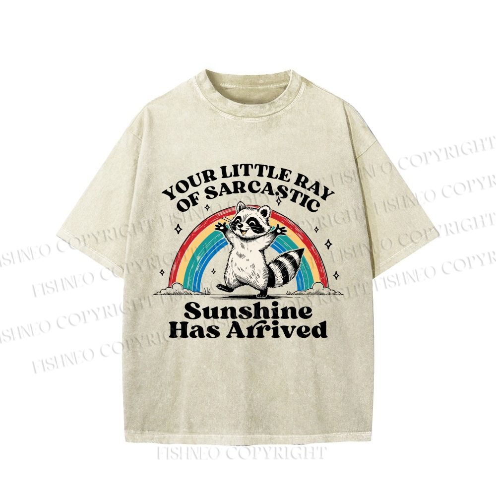 Your Little Ray of Sarcastic Sunshine Has Arrived Vintage Washed T-shirt