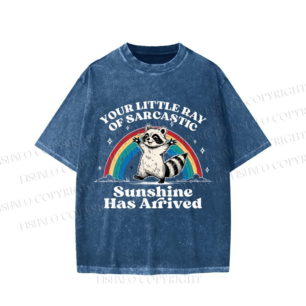 Your Little Ray of Sarcastic Sunshine Has Arrived Vintage Washed T-shirt