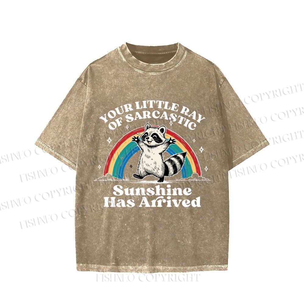Your Little Ray of Sarcastic Sunshine Has Arrived Vintage Washed T-shirt