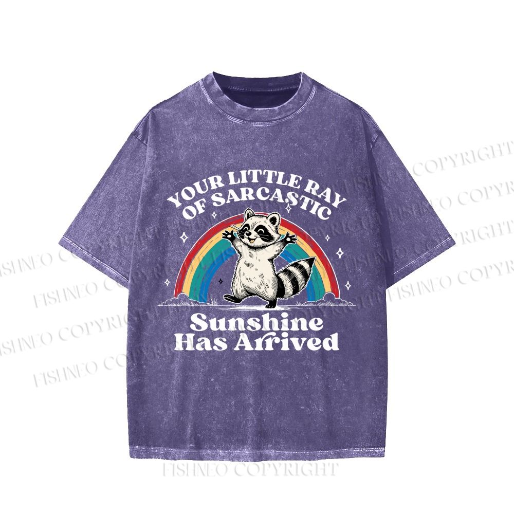 Your Little Ray of Sarcastic Sunshine Has Arrived Vintage Washed T-shirt