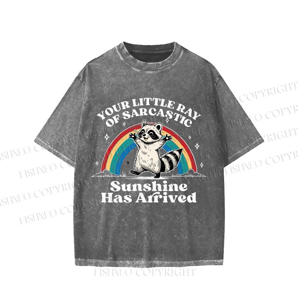 Your Little Ray of Sarcastic Sunshine Has Arrived Vintage Washed T-shirt