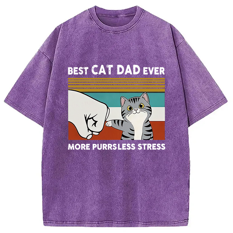 Funny Cat Dad Washed T-Shirt