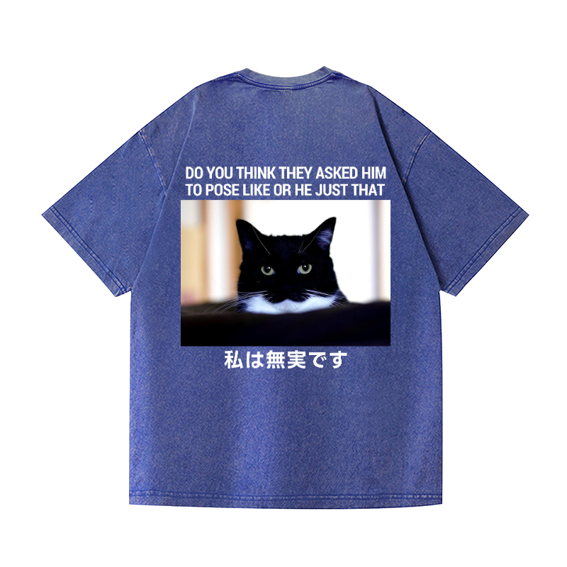 Cat Vintage Wash Japanese Design Back Art T-Shirt