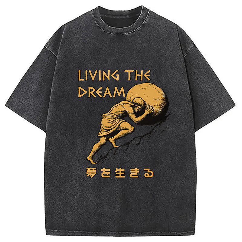 Living The Dream Meme Washed T-Shirt