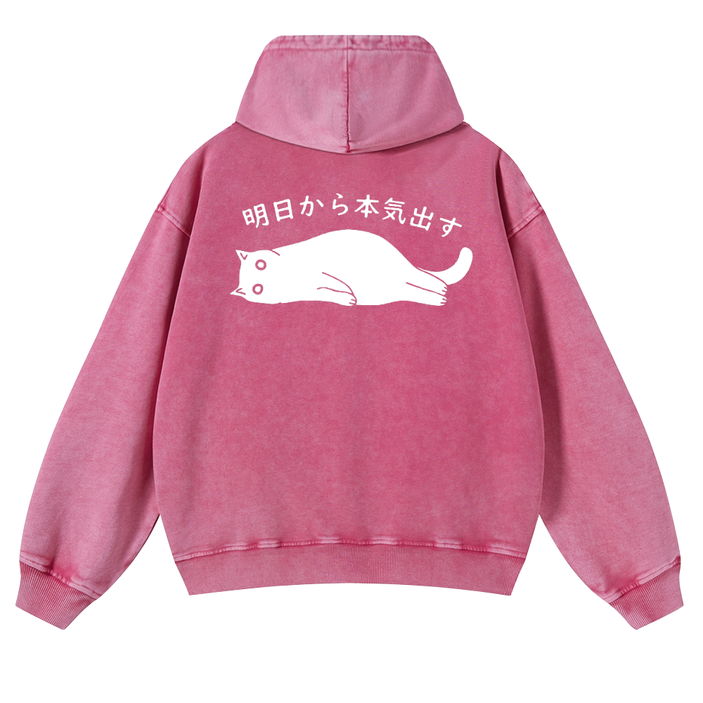 Cat Vintage Washed Cotton Back Art Hoodie