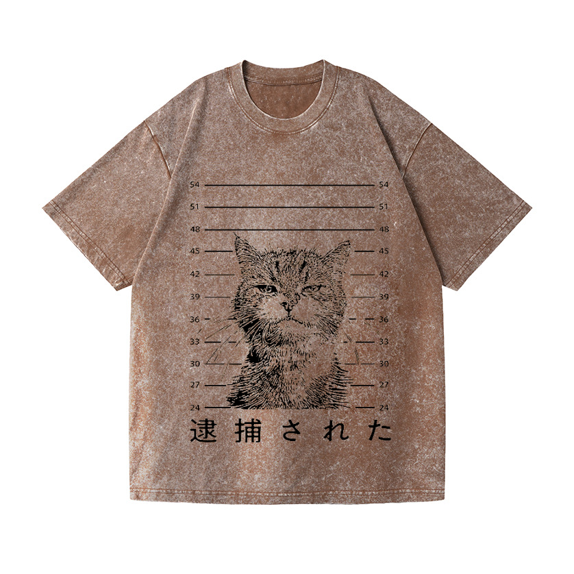 Arrested Cat Vintage Wash Japanese Design T-Shirt