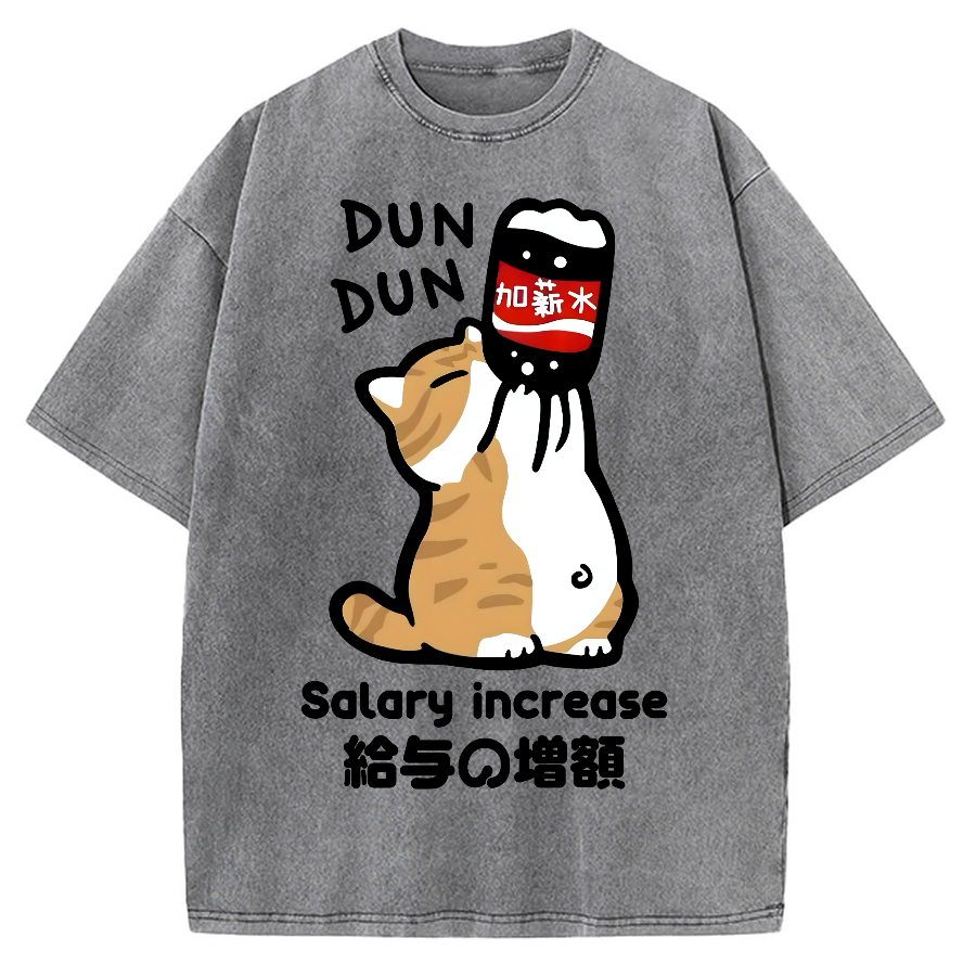 Salary Increase Vintage Washed T-shirt