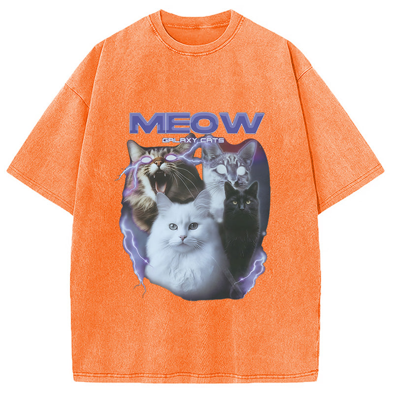 Neow Cat Meme Washed T-Shirt