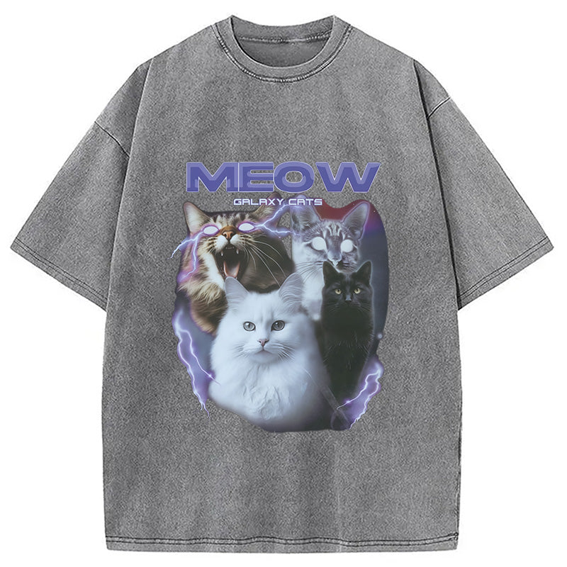 Neow Cat Meme Washed T-Shirt