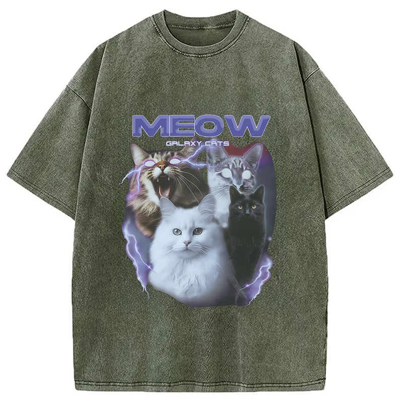 Neow Cat Meme Washed T-Shirt