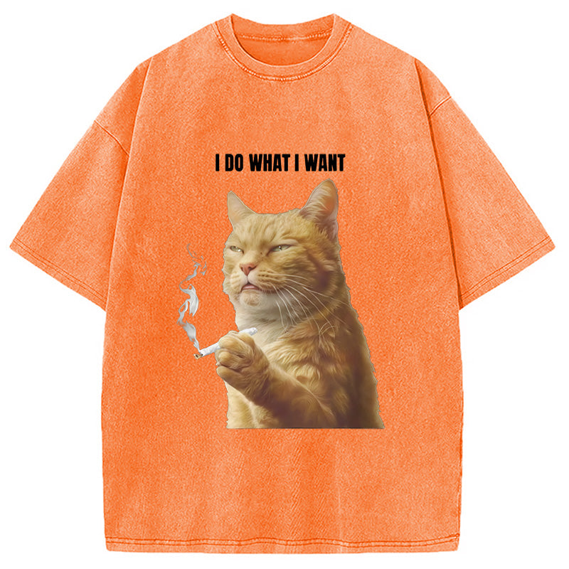 I Do What I Want Washed T-Shirt