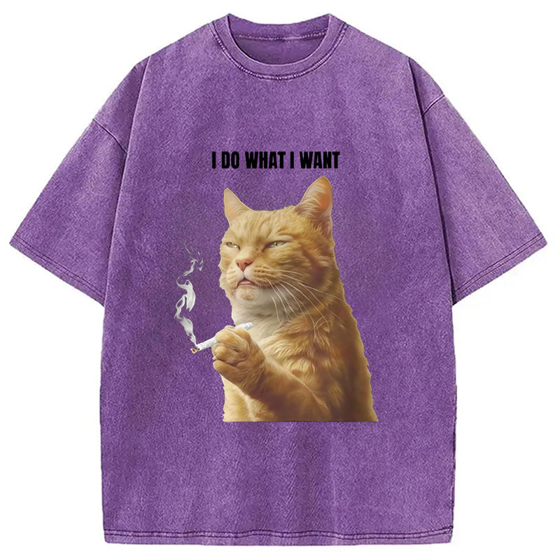 I Do What I Want Washed T-Shirt