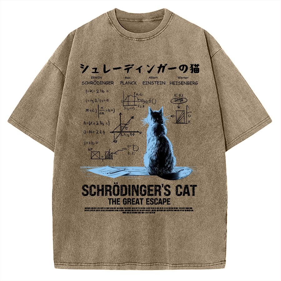 Schrodinger's cat escape plan Vintage Washed T-shirt