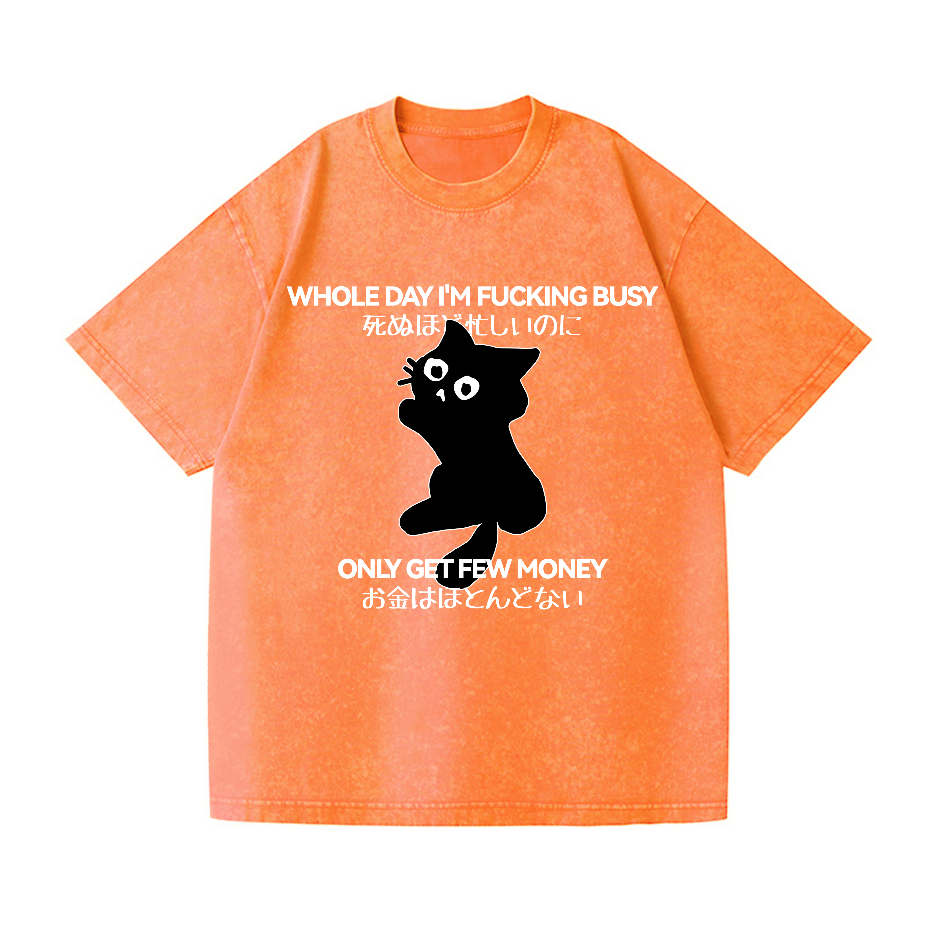Cat Vintage Wash Japanese Design T-Shirt