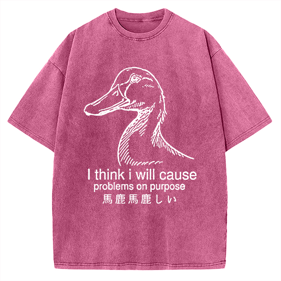 Funny Goose Vintage Washed T-shirt