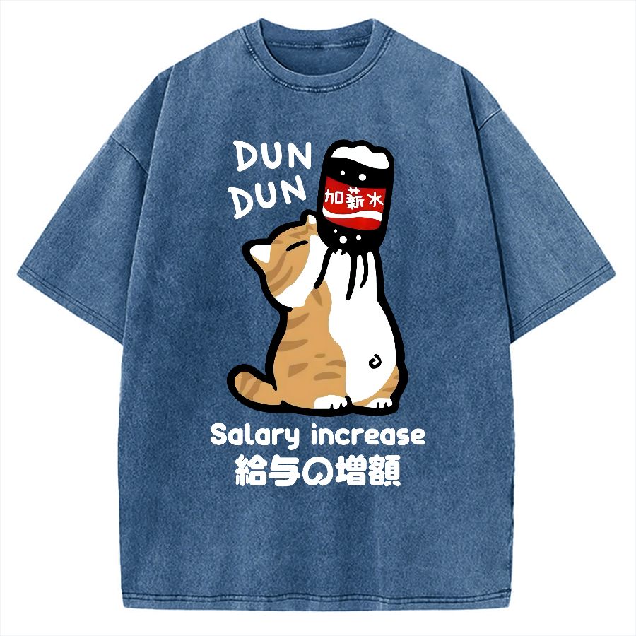 Salary Increase Vintage Washed T-shirt