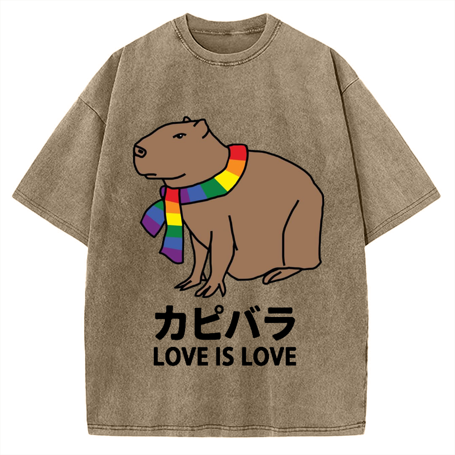Capybara With Love Vintage Washed T-shirt