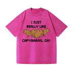 Capybara Vintage Wash Japanese Design T-Shirt