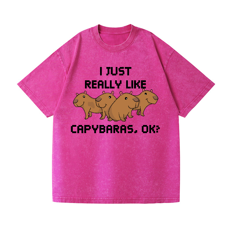 Capybara Vintage Wash Japanese Design T-Shirt