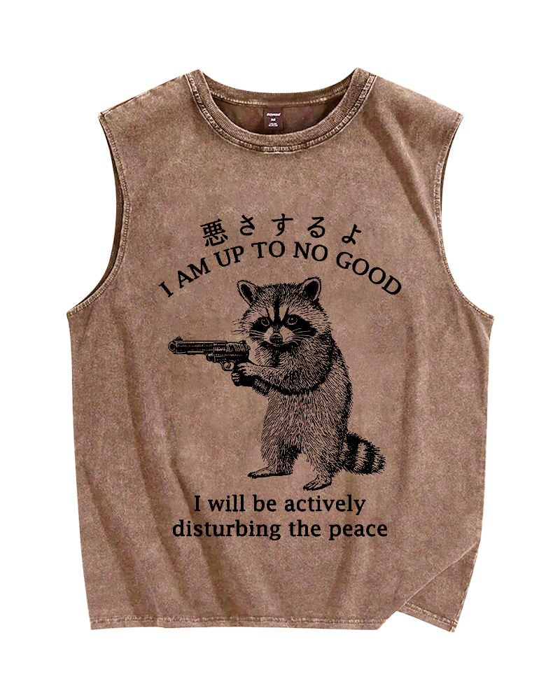 Raccoon Disturbing The Peace Vintage Distressed Washed Tank Top