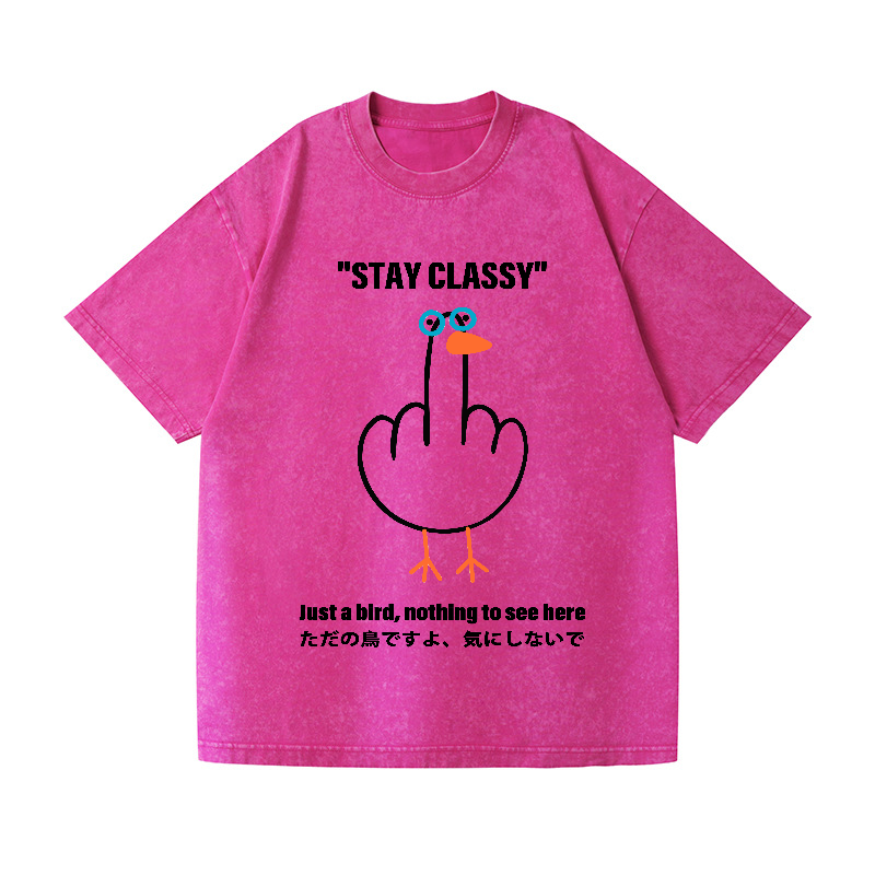 Stay Classy Goose Bird Vintage Wash Japanese Design T-Shirt