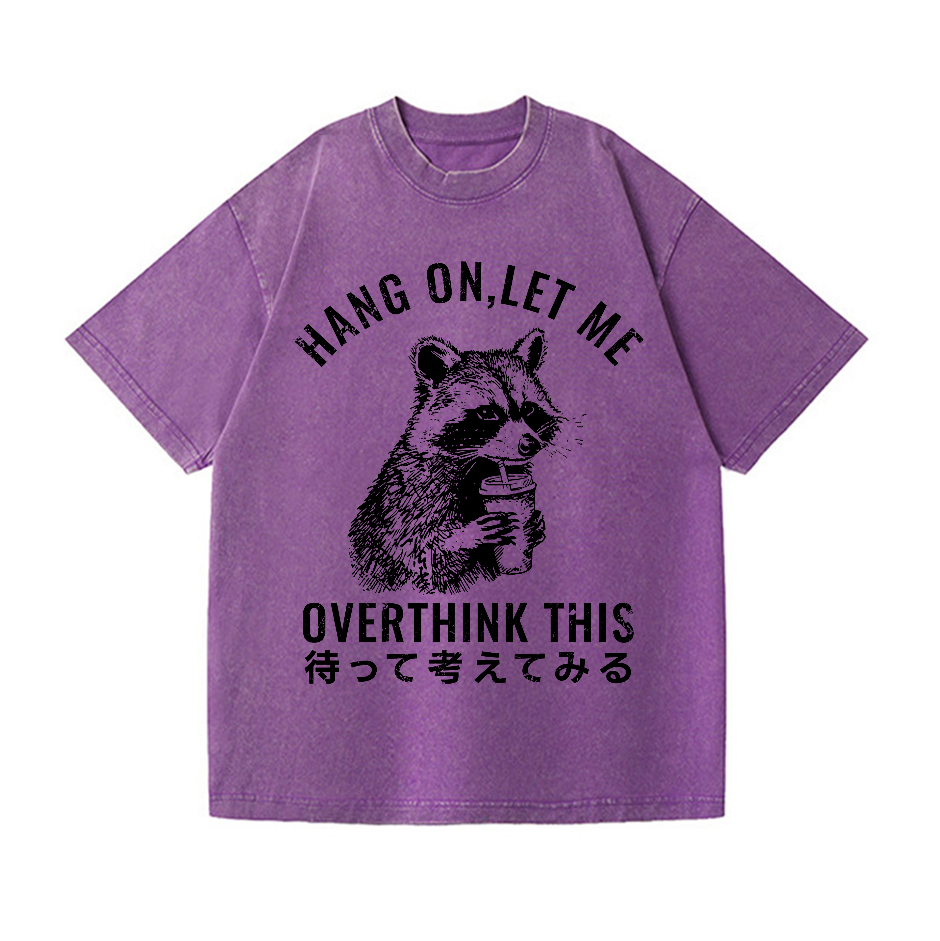 Racoon Vintage Wash Japanese Design T-Shirt