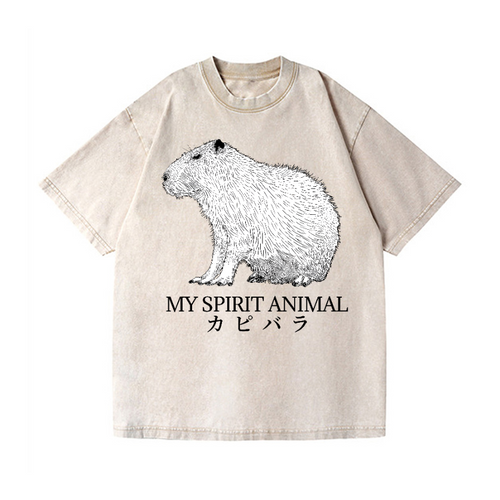 Capybara Vintage Wash Japanese Design T-Shirt