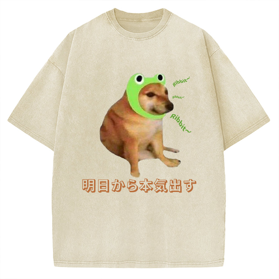 I'll get serious from tomorrow Froggy Cheems Funny Memes Vintage Washed T-shirt
