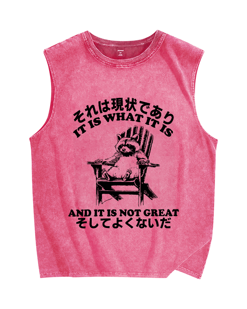 Bad Condition Raccoon Vintage Distressed Washed Tank Top