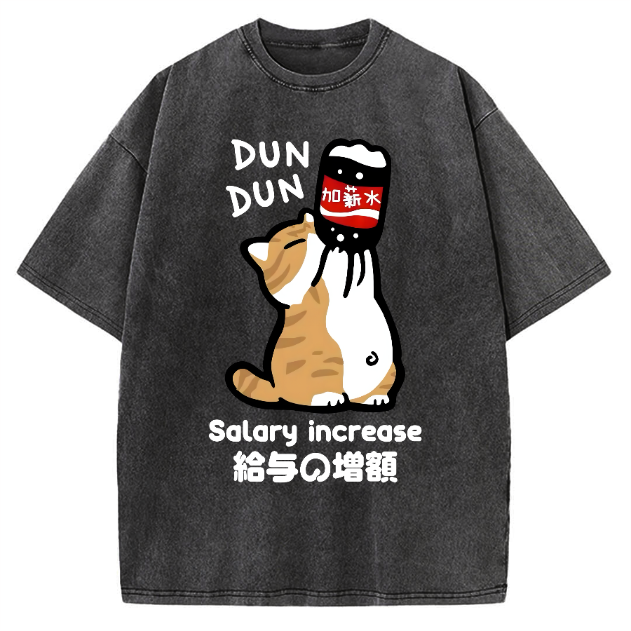Salary Increase Vintage Washed T-shirt