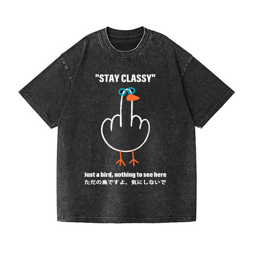 Stay Classy Goose Bird Vintage Wash Japanese Design T-Shirt
