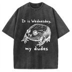 Wensday Frog Vintage Washed T-shirt