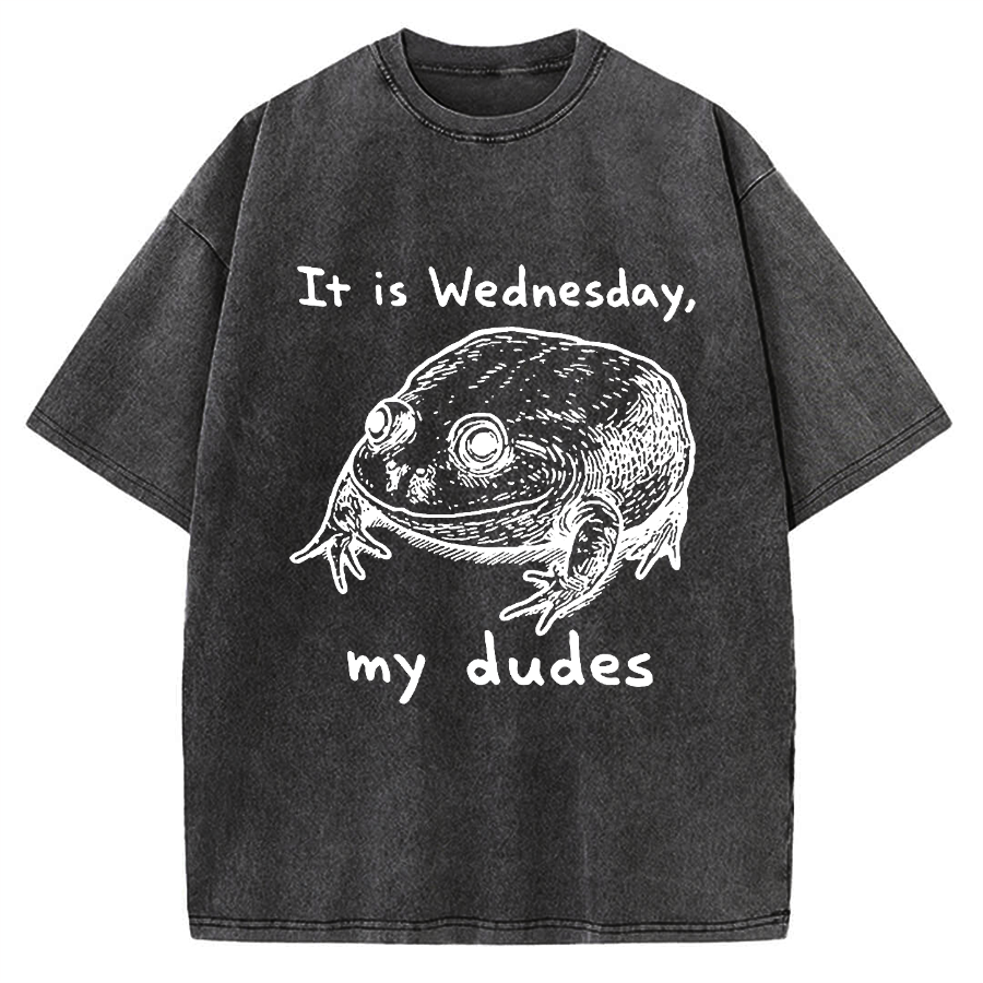 Wensday Frog Vintage Washed T-shirt