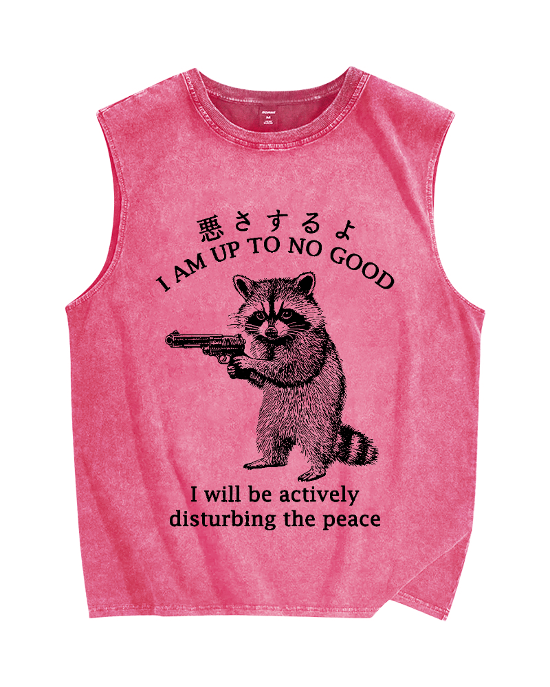 Raccoon Disturbing The Peace Vintage Distressed Washed Tank Top
